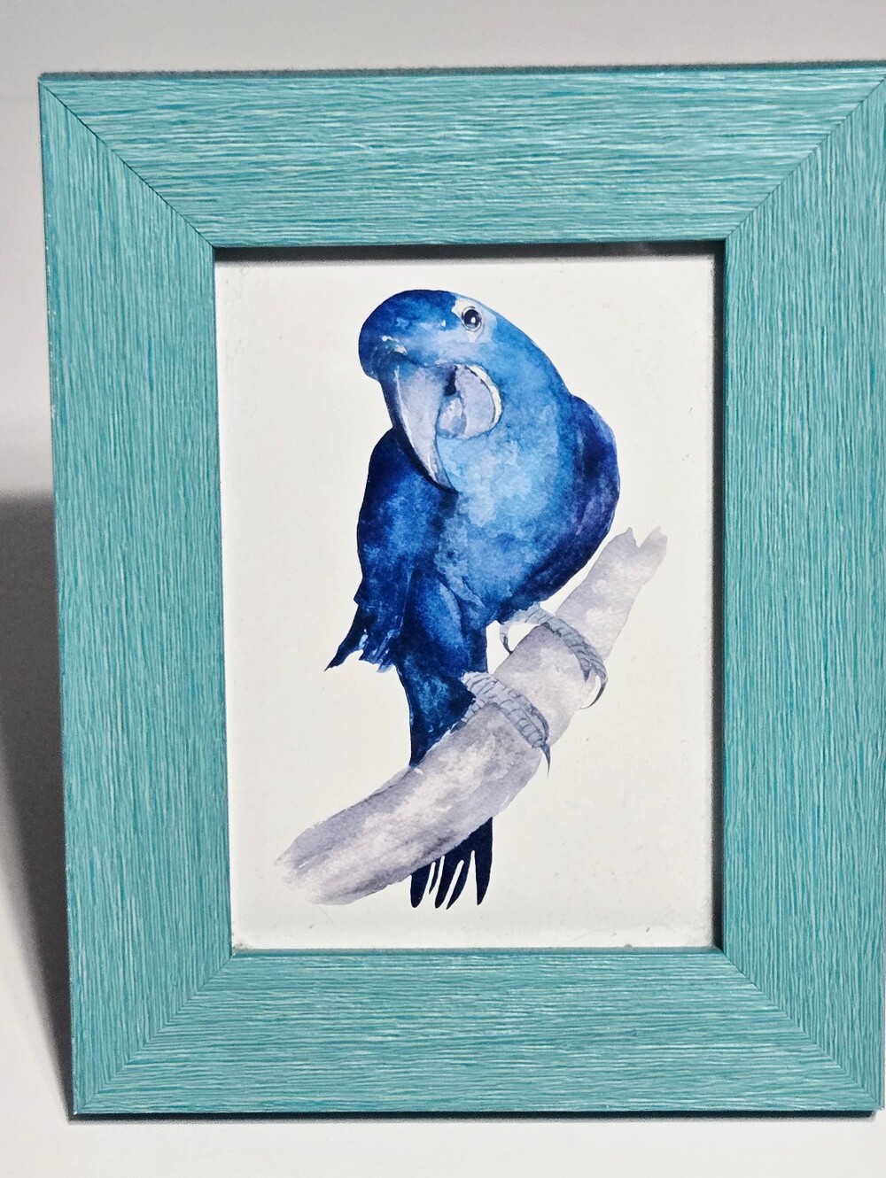 Teal Coastal Frame Blue Parrot Watercolor Print 5x7 Tropical Bird Décor